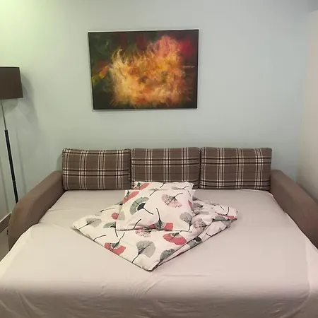 Marina Zlatibor-apartman Sladja Apartment *